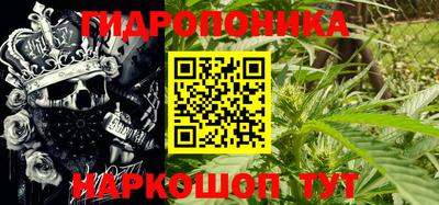 ешки Боровичи