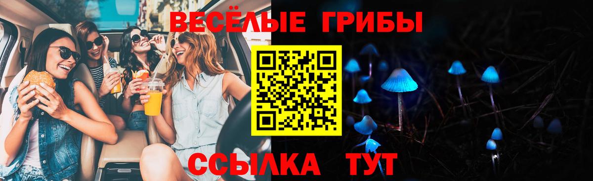 Псилоцибиновые грибы мицелий Зерноград